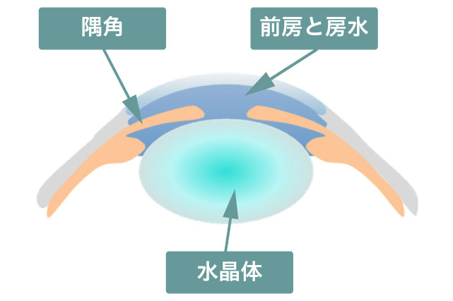 緑内障治療1